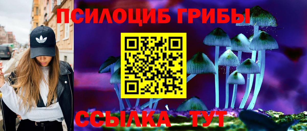 Галлюциногенные грибы Psilocybine cubensis Новоуральск